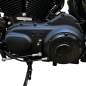 Preview: Motorschrauben Set - passend für Sportster Evolution